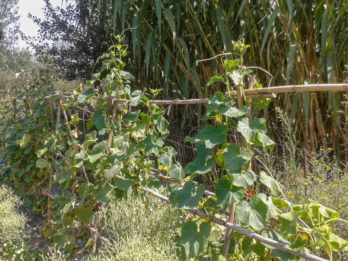 Villa Aroggia Farm Xanthátai Esterno foto
